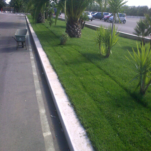 Il giardino un anno dopo in fase di rasatura